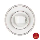 سرویس چینی یاسمن رادیانس زرین رزگلد 76 پارچه