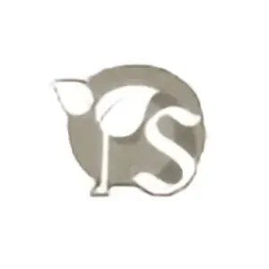 یونگ شینگ