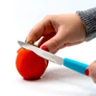 چاقو آشپزخانه