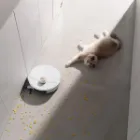 جارو رباتیک شیائومی Dreame X50 Ultra هوشمند