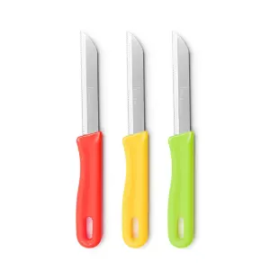 چاقو میوه خوری 10 عددی روی KN-1710A