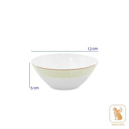 سرویس پارس اپال