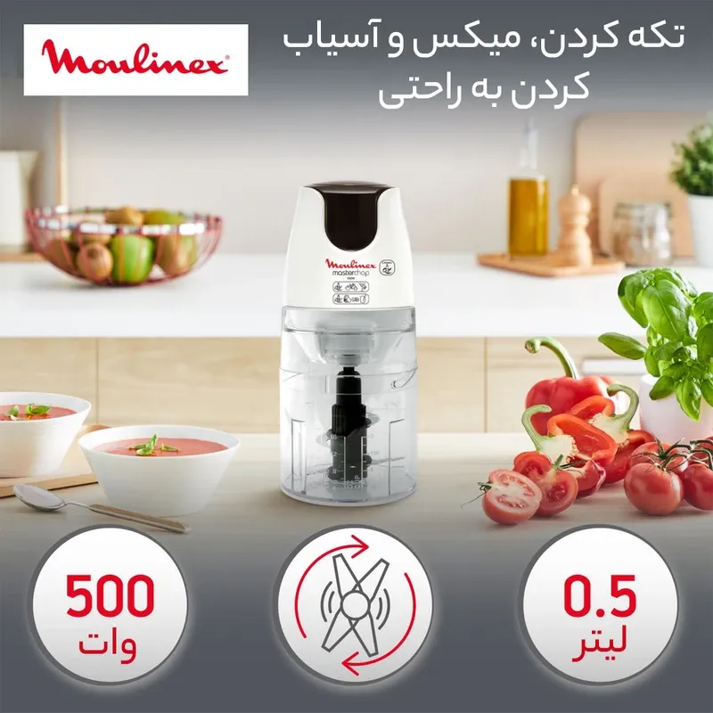 خرید آنلاین خردکن مولینکس 500 وات مدل DJ450