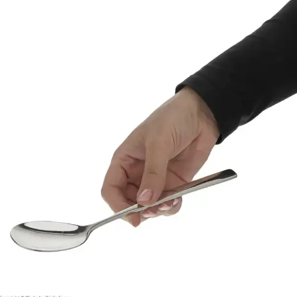 قاشق سالاد خوری اصل