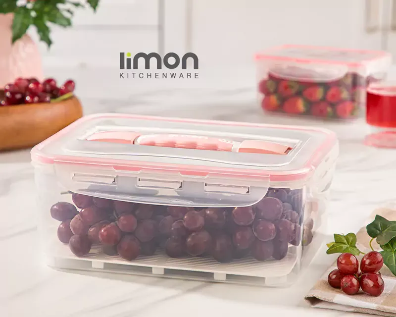 خرید ظرف فریزری و نظم دهنده لیمون با بهترین کیفیت و کارایی