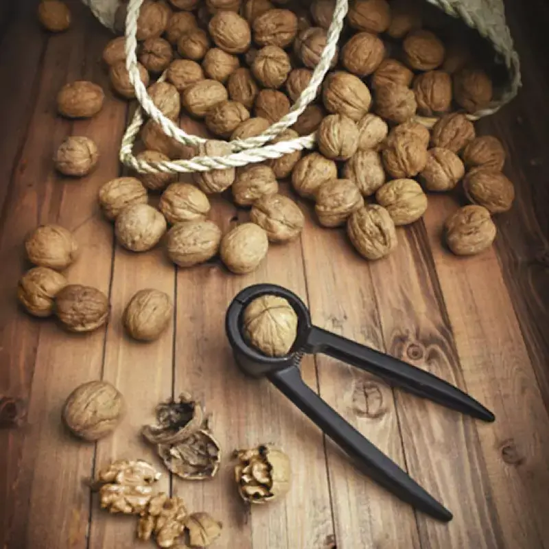 معرفی انواع گردوشکن