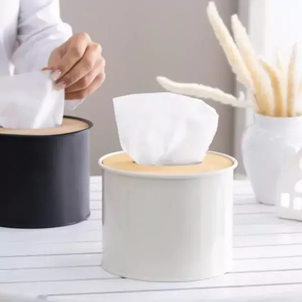 ویژگی جا دستمالی لیمون